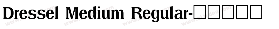 Dressel Medium Regular字体转换